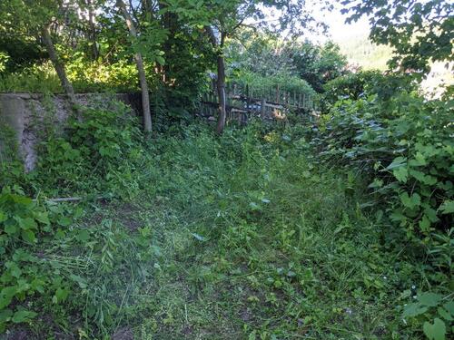 Foto - Grundst&uuml;ck zur Miete in Altensteig