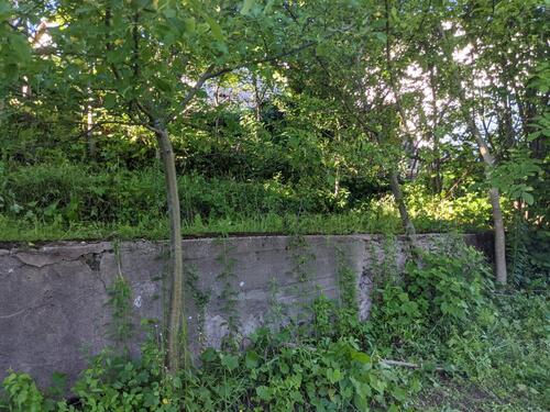 Foto - Grundst&uuml;ck in Altensteig