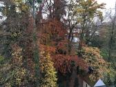 Foto - Etagenwohnung in Landshut