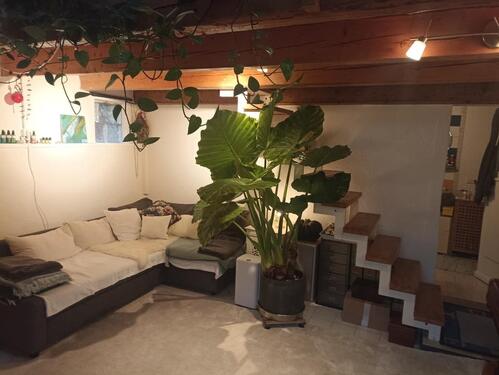 Foto - Charmantes kleines Einfamilienhaus in Ihringen ab 01.04.2026