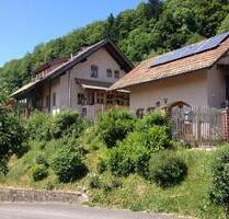 Wunderschönes Einfamilienhaus in Steinen-Endenburg mit Alpensicht