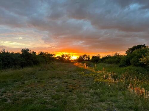 Foto - andere in Wettin-Löbejün zur Miete