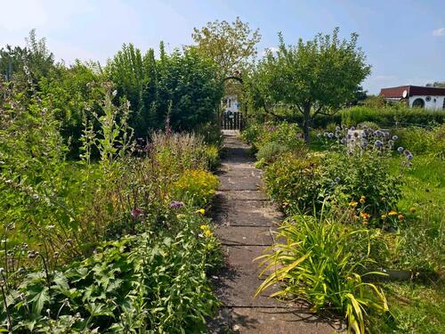 Foto - Schöner Kleingarten Schrebergarten nahe Westpark abzugeben