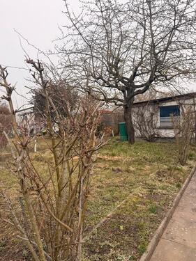 Foto - Garten mit Gartenhaus & Ausstattung in Schwedt (Oder) – VB