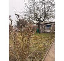 Garten mit Gartenhaus & Ausstattung in Schwedt (Oder) – VB