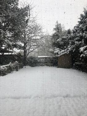 Foto - Erdgeschoßwohnung in Großheide zur Miete