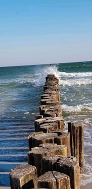 Foto - andere in Zingst