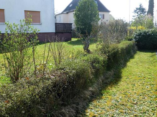 Foto - 6.5 Zimmer Einfamilienhaus zum Kaufen in Neunkirchen am Brand