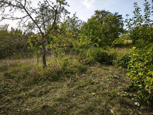 Foto - Gartengrundstück in Bruchsal - 130,00&nbsp;EUR Kaltmiete, ca.&nbsp; 0,00&nbsp;m&sup2;