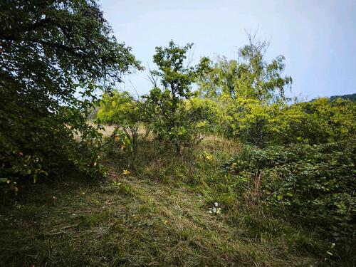 Foto - Grundst&uuml;ck zur Miete in Bruchsal