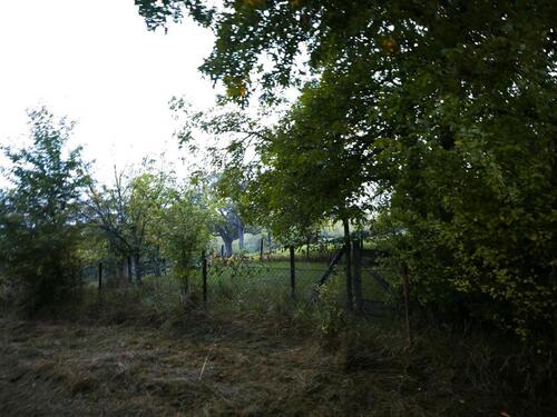 Foto - Grundst&uuml;ck in Bruchsal