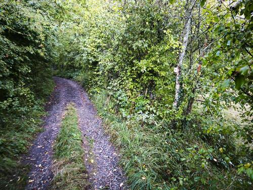 Foto - Grundst&uuml;ck in Bruchsal zur Miete