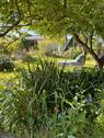 Foto - Garten mit Haus in Wittenförden bei Schwerin abzugeben