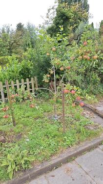 Foto - Grundst&uuml;ck in Oldenburg