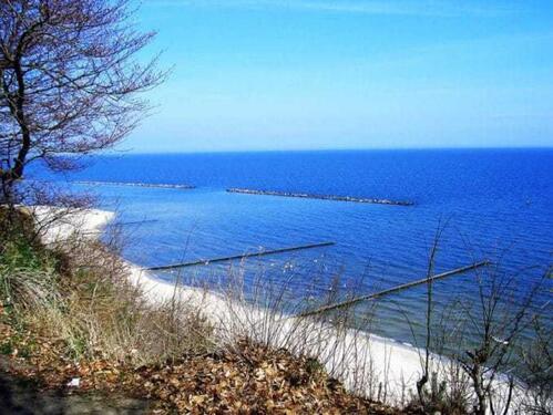 Foto - Freie FeWo in Barth an der Ostsee