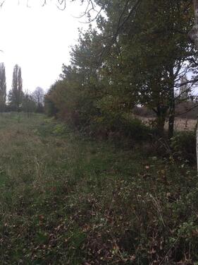 Foto - Landwirtschaftliche Fläche 245 qm