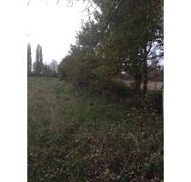 Landwirtschaftliche Fläche 245 qm - Landau in der Pfalz