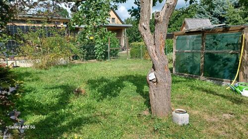 Foto - 5 Zimmer Einfamilienhaus in Altenburg