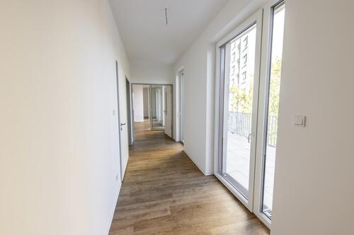 Foto - 3 Zimmer Etagenwohnung in Cottbus