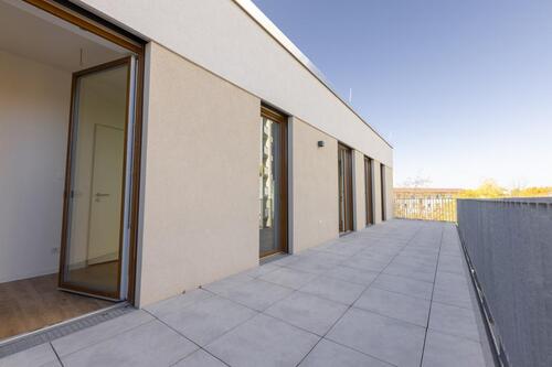 Foto - Etagenwohnung in Cottbus zur Miete