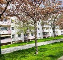 Sofort verfügbare 3-Raum-Wohnung mit Möblierung - Chemnitz Kapellenberg