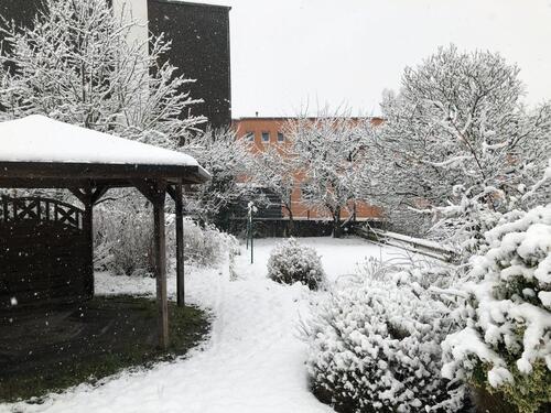 Foto - 7 Zimmer Mehrfamilienhaus, Wohnhaus in Detmold