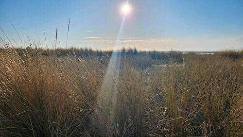 Foto - andere zur Miete in Dornum