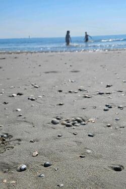 Foto - andere in Dornum