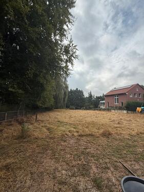 Foto - Wiese zu verpachten - 85,00 EUR Kaltmiete, ca.  0,00 m²