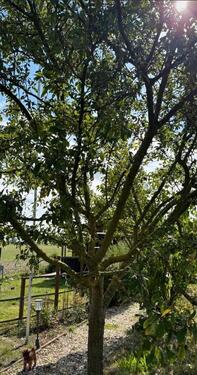 Foto - Grundstück zur Miete in Wettin-Löbejün