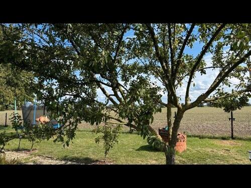 Foto - Grundstück in Wettin-Löbejün