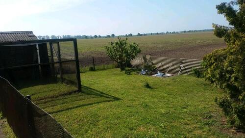 Foto - Einfamilienhaus zum Kaufen in Südliches Anhalt