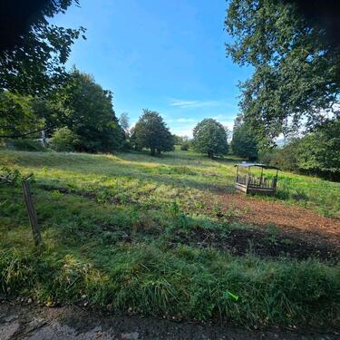Foto - Grünland, Wiese, Landwirtschaft, Grundstück