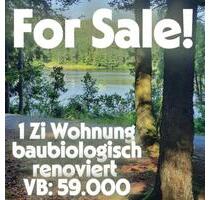1-Zi-Wohnung am Fichtelsee baubiologisch neu renoviert - Fichtelberg
