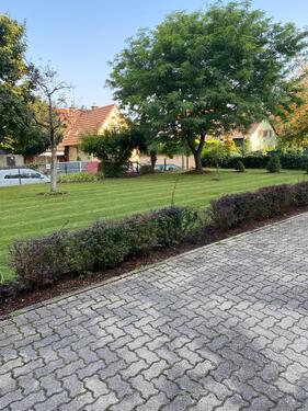 Foto - 1 Zimmer Erdgeschoßwohnung in Mutterstadt