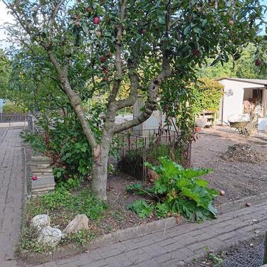 Foto - Grundstück zur Miete in Wesel