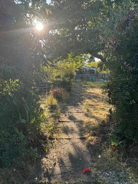 Foto - Grundstück in Halle (Saale) zur Miete