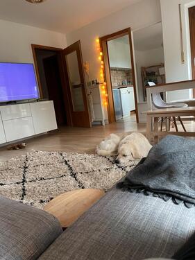 Foto - Untermiete 1,5 Zimmer Wohnung Dezember Silvester