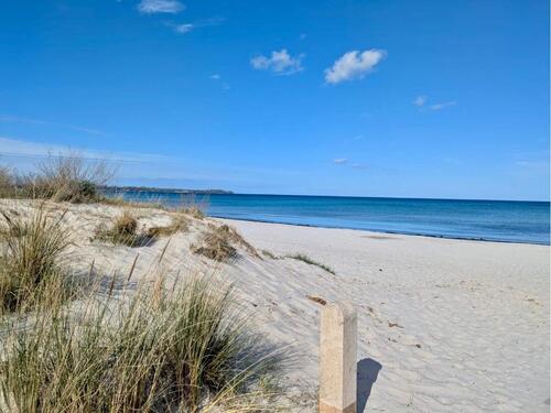 Foto - 3 Zimmer Terrassenwohnung zur Miete in Dranske
