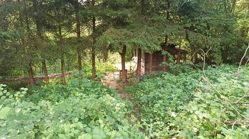 Foto - Garten- und Freizeitgrundstück in 56179 Vallendar