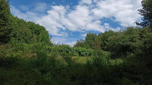 Foto - Grundstück zur Miete in Vallendar