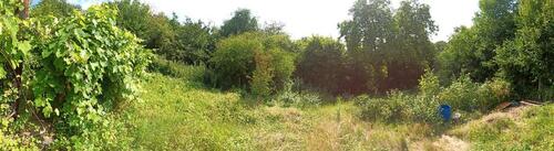 Foto - Grundstück in Vallendar zur Miete