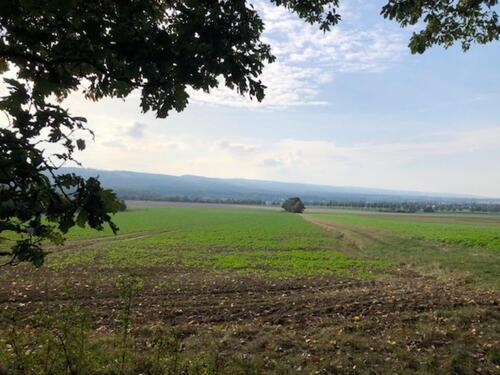 Foto - Schönes Waldgrundstück am Süllberg, Randlage mit Aussicht