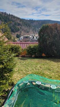 Foto - 3.5 Zimmer Terrassenwohnung zur Miete in Todtmoos