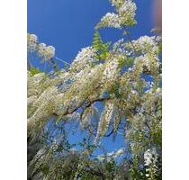 Urlaubsatmosphäre im Luftkurort Xanten