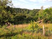 Foto - Hann.Münden Laubach Wiese, Weide, Streuobst, Bienen, Tiere