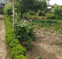 Gartenhaus in Gartenanlage - 5.000,00 EUR Kaltmiete, ca.  0,00 m² in Broderstorf (PLZ: 18184)