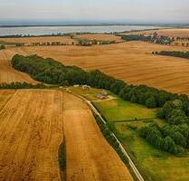 Ferienhaus an der polnischen Ostsee Urlaub mit Hund - Halle (Saale)