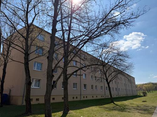 Foto - 3 Zimmer Etagenwohnung zur Miete in Jacobsdorf