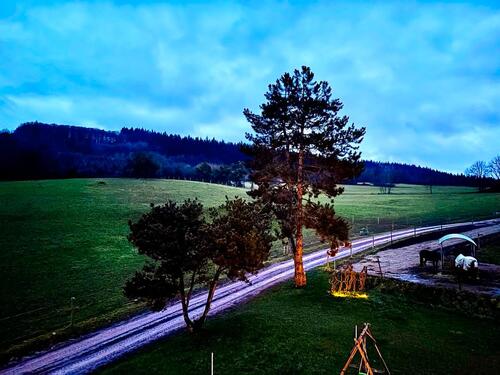 Foto - Dachgeschosswohnung mit Weitblick in Schweich
